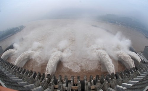 Ảnh minh họa: AFP/TTXVN