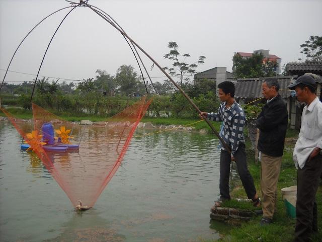 Mô hình nuôi trồng thủy sản của hộ gia đình anh Nguyễn Văn Rơi, ở thôn Ngọc Động, xã Phương Tú, huyện Ứng Hòa