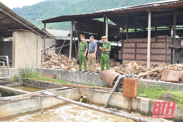 chế biến lâm sản