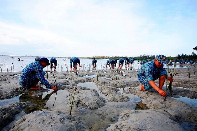 bo-tn-mt-cong-bo-bao-cao-hien-trang-moi-truong-bien-quoc-gia-1