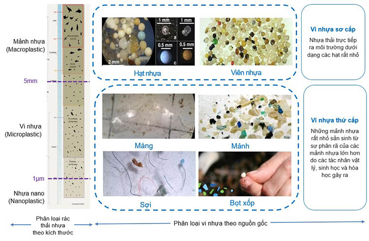 Hình 1. Phân loại chất thải nhựa theo kích thước và nguồn gốc