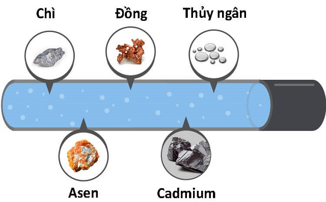 tac-hai-cua-kim-loai-nang-trong-nuoc-va-cach-kiem-tra-1